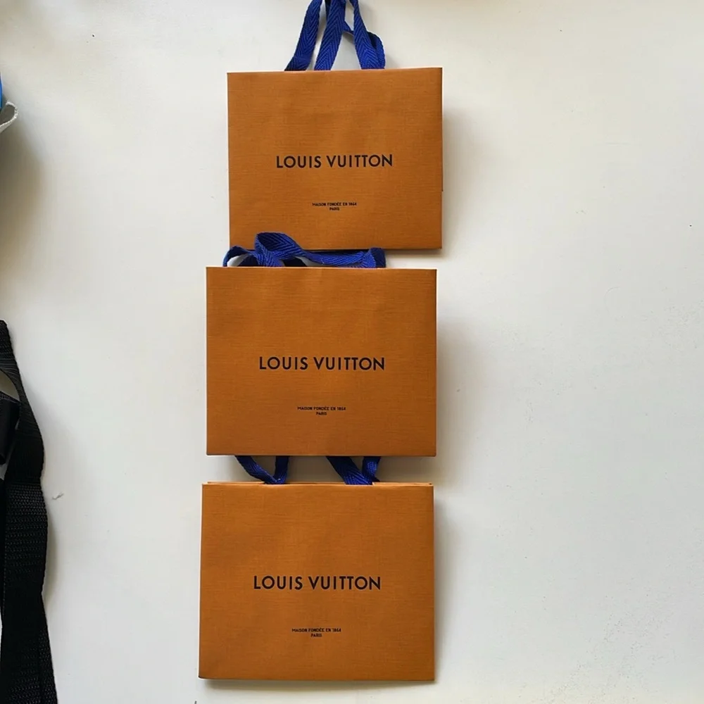Louis Vuitton orange shopping bags 2 sizes, total of 4 - Picture 2 of 6